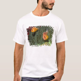 Pink Anemonefish in Magnificant Sea Anemone T-Shirt
