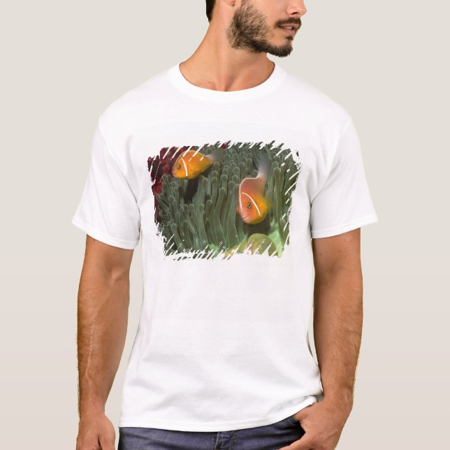 Pink Anemonefish in Magnificant Sea Anemone T-Shirt (Front)