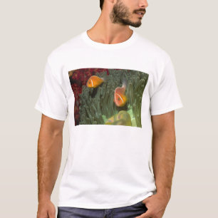 Pink Anemonefish in Magnificant Sea Anemone T-Shirt