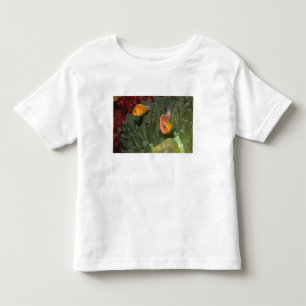 Pink Anemonefish in Magnificant Sea Anemone Toddler T-Shirt