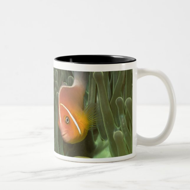Pink Anemonefish in Magnificant Sea Anemone Two-Tone Coffee Mug (Right)