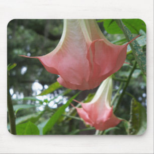 Pink Angels trumpet flowers Mouse Mat