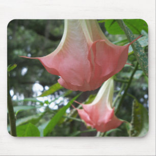 Pink Angels trumpet flowers Mouse Mat
