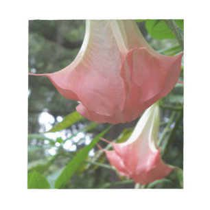 Pink Angels trumpet flowers Notepad