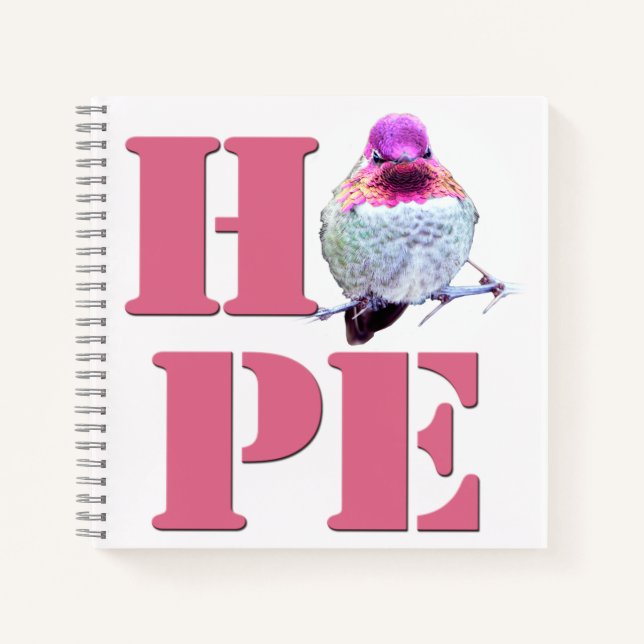 Pink Anna's Hummingbird Photo HOPE 8x8 Notebook (Front)
