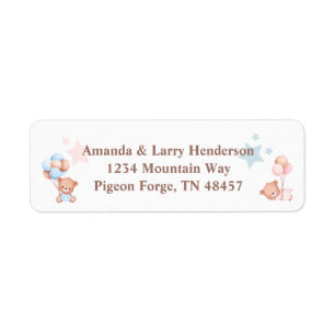 Pink ans Blue Teddy Bear Return Address