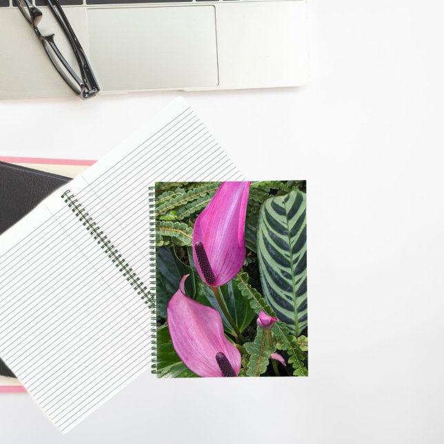 Pink Anthurium Blooms and Leafy Foliage Notebook (In Situ)