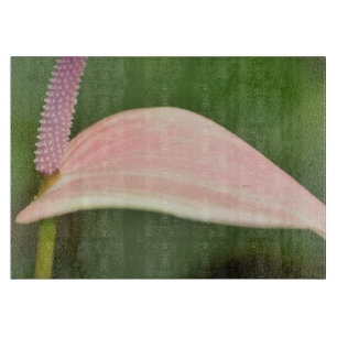 Pink Anthurium Flower Kauai, Hawaii Cutting Board