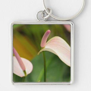 Pink Anthurium Flowers Kauai Hawaii Key Ring