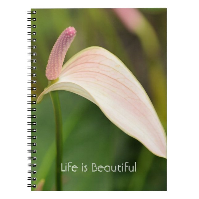 Pink Anthurium Flowers Kauai Notebook (Front)