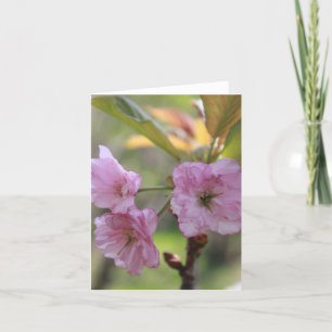Pink Apple Bloom In Spring Photo for Mum  Holiday Card