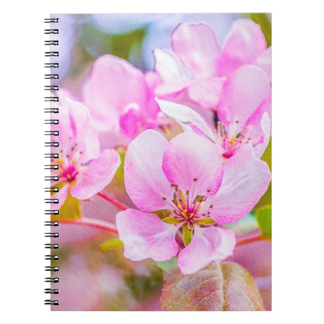 Pink Apple Blossom Notebook (Front)