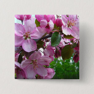 Pink Apple Blossoms 15 Cm Square Badge
