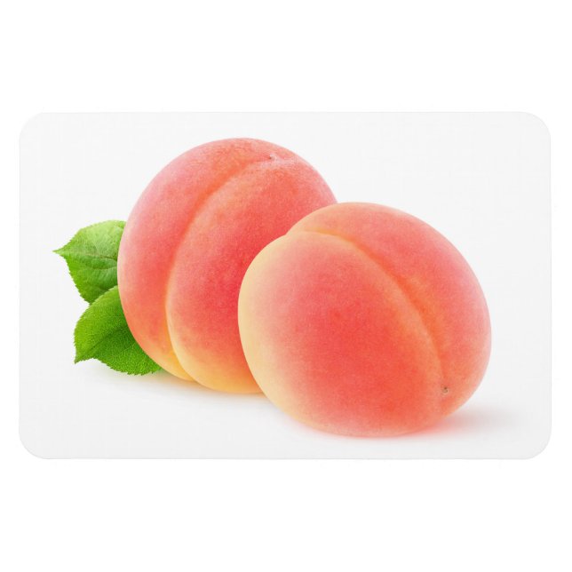 Pink apricots magnet (Horizontal)