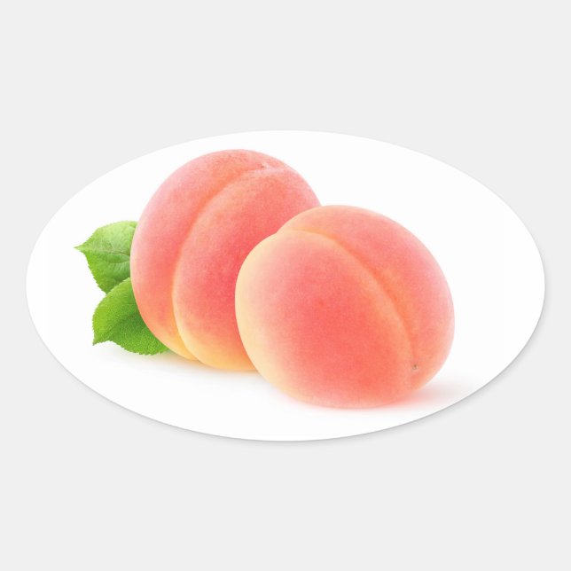 Pink apricots oval sticker (Front)