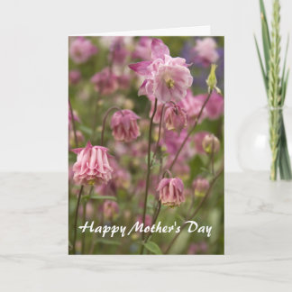 Pink aquilegia ...  card