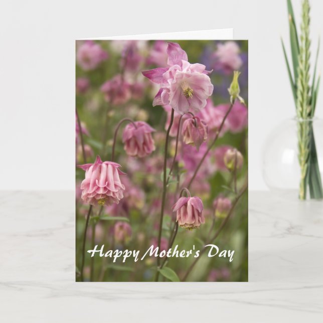 Pink aquilegia ...  card (Front)