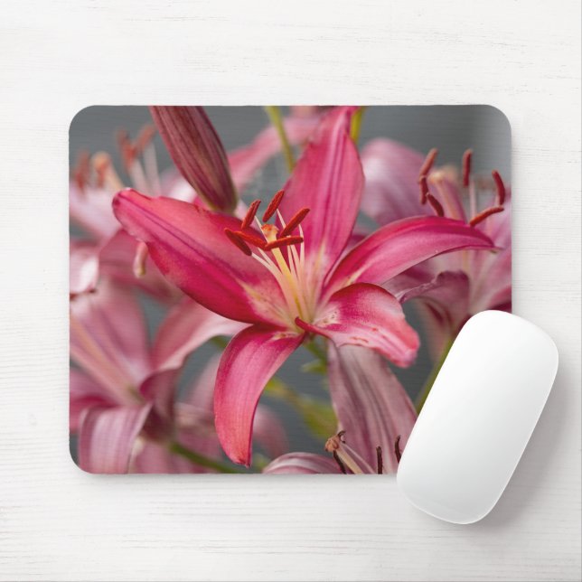 Pink Asiatic Lily, Botanical Flower Photo Mouse Mat (With Mouse)
