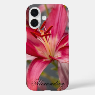 Pink Asiatic Lily – Elegant Flower Photography iPhone 16 Case