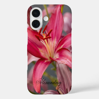 Pink Asiatic Lily – Elegant Flower Photography iPhone 16 Case