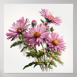 Pink Aster Flower Art Print Poster