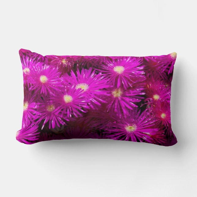 Pink Aster Flowers Lumbar Cushion (Front)
