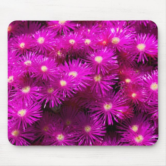Pink Aster Flowers Mouse Mat (Front)