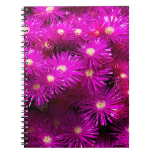 Pink Aster Flowers Notebook