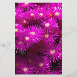 Pink Aster Flowers Scrapbook Paper