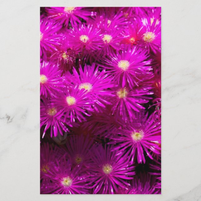 Pink Aster Flowers Scrapbook Paper (Front)