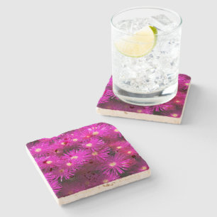 Pink Aster Flowers Stone Coaster