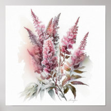 Pink Astilbe Flower Art Print Poster