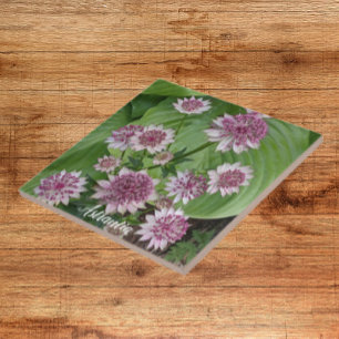 Pink Astrantia Blooms Floral Tile