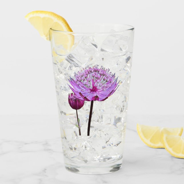 Pink Astrantia Flower Floral Glass (Front Ice)