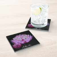Pink Astrantia Flower on Black Floral