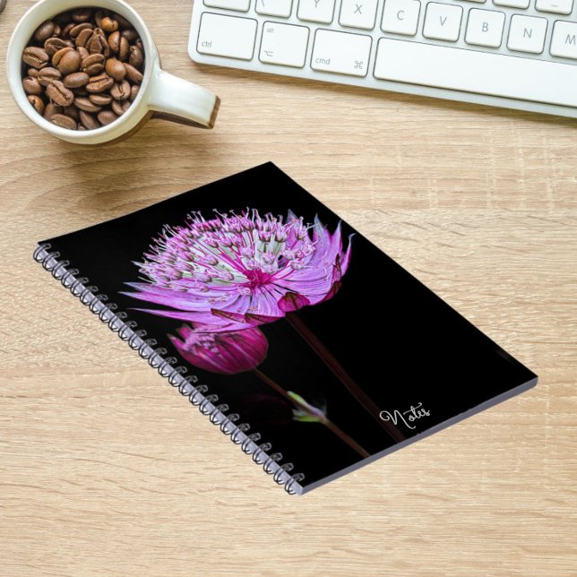 Pink Astrantia Flower on Black Floral Notebook (In Situ)