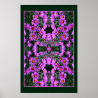 Pink Autumn Aster Flowers Orton Abstract