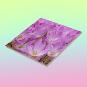 Pink Autumn Crocus Blooms Floral Tile