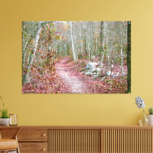 Pink Autumn Leaves Goat Rock Trail Arkansas Canvas Print