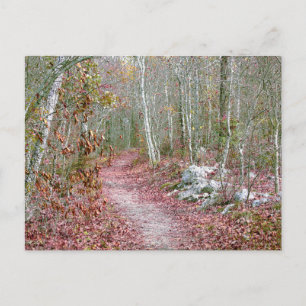Pink Autumn Leaves Goat Rock Trail Arkansas Postcard