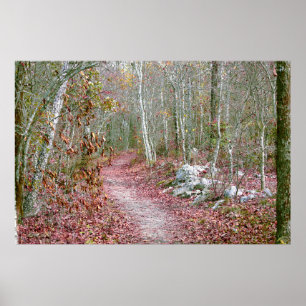 Pink Autumn Leaves Goat Rock Trail Arkansas Poster