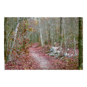 Pink Autumn Leaves Goat Rock Trail Arkansas Poster