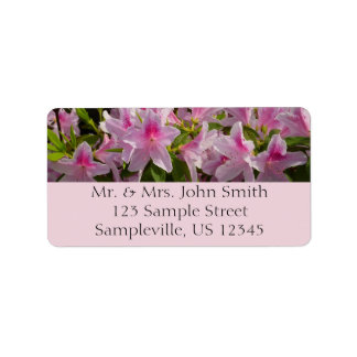 Pink Azalea Bush Label