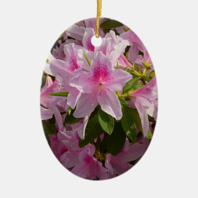 Pink Azalea Bush Spring Floral Ceramic Tree Decoration (Front)