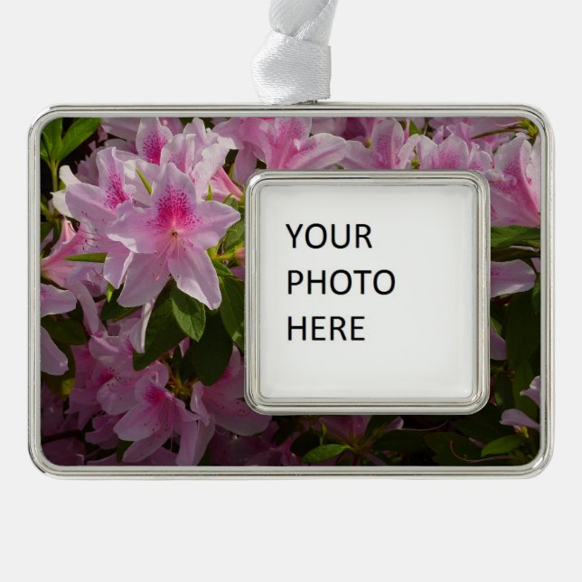 Pink Azalea Bush Spring Floral Silver Plated Framed Ornament (Front)