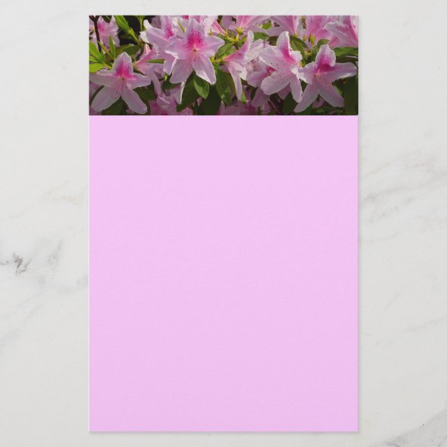 Pink Azalea Bush Spring Floral Stationery (Front)