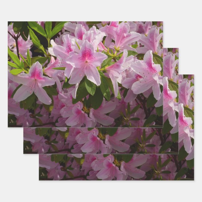 Pink Azalea Bush Spring Floral Wrapping Paper Sheet (Set)