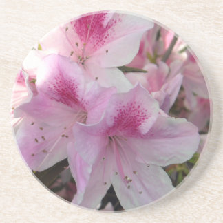 Pink Azalea Floral Photo Sandstone Coaster