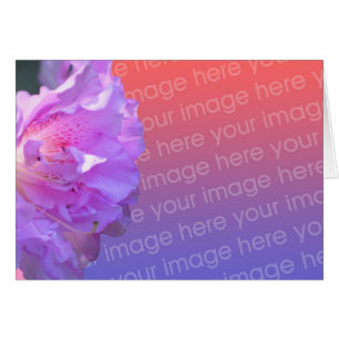 Pink Azalea Flower Photo Card