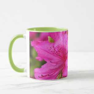 pink azalea flowers，  杜 鹃 花 mug